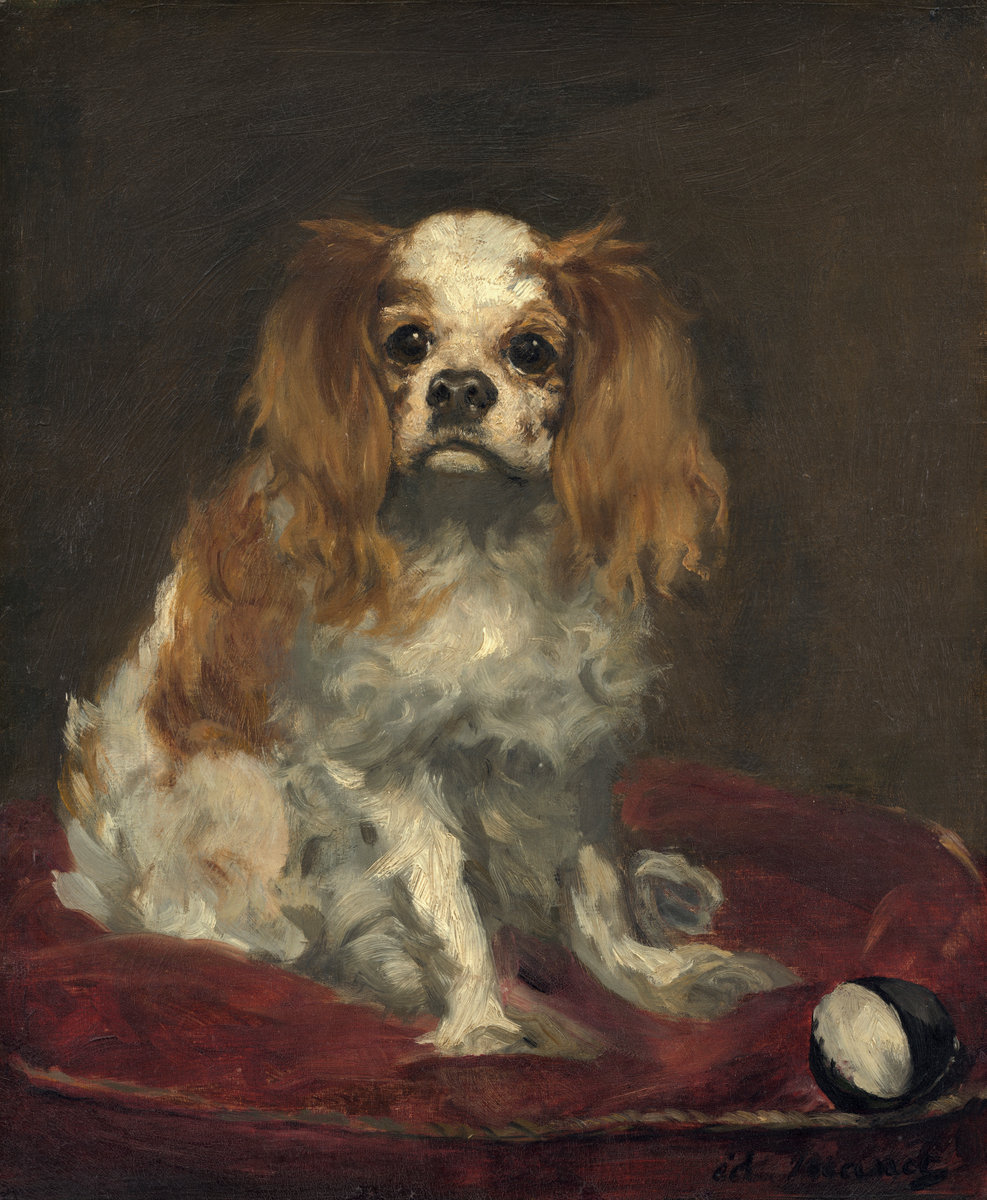 Èdouard Manet, A King Charles Spaniel, c. 1866