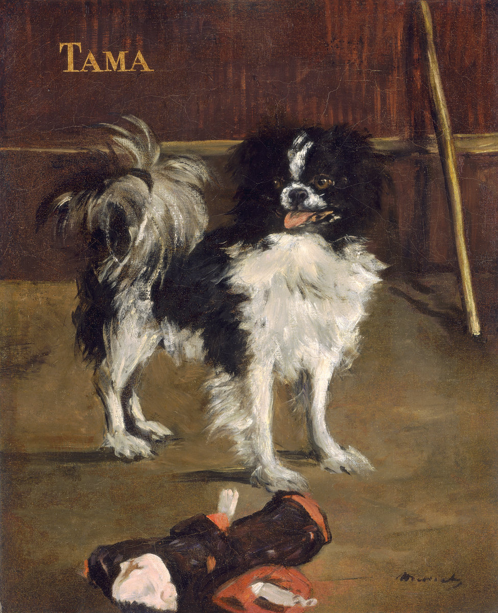 Èdouard Manet, Tama, the Japanese Dog, c. 1875