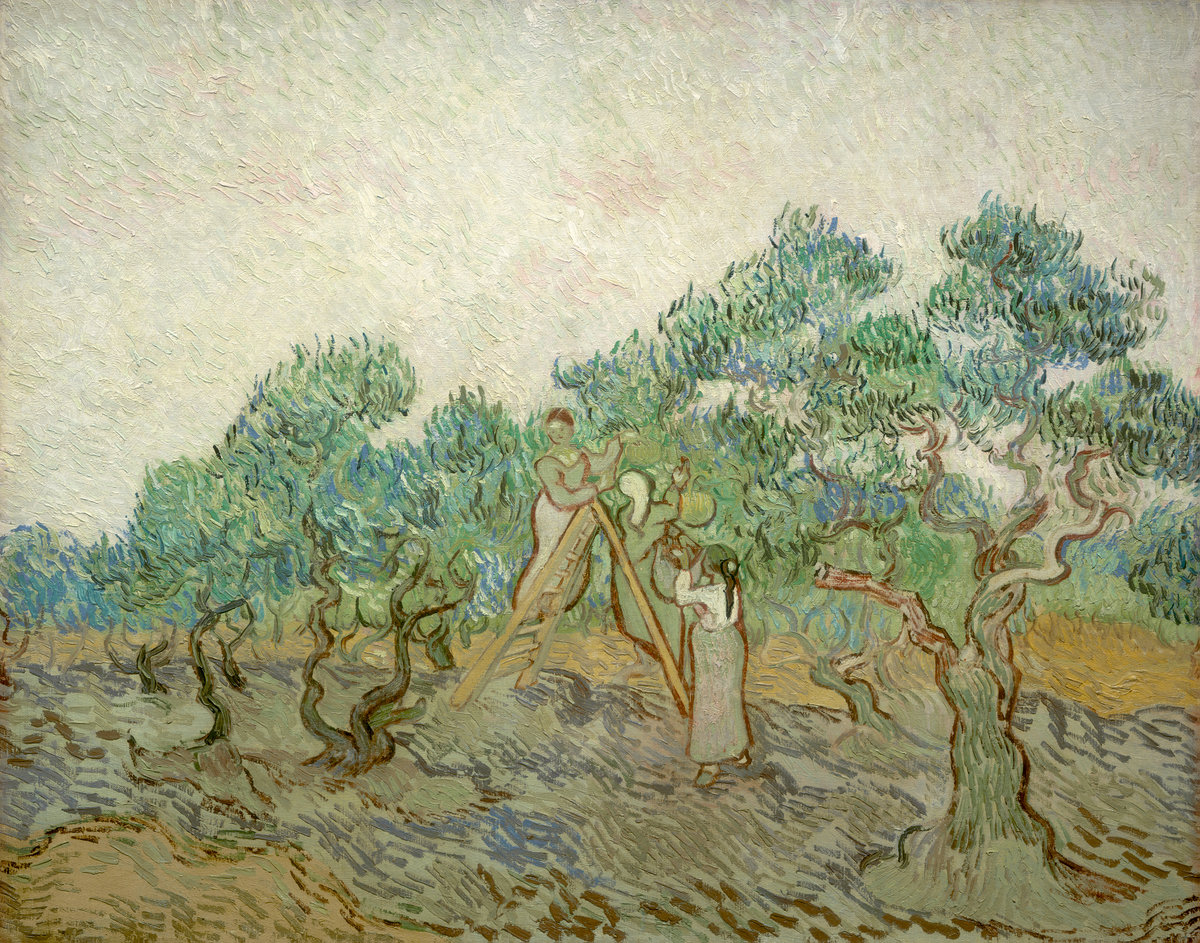 Vincent Van Gogh, The Olive Orchard 1889